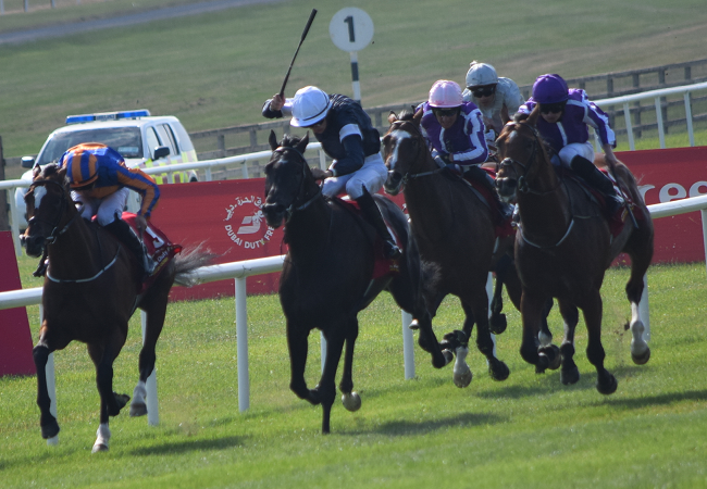 愛ダービー18観戦記 2 Nathanielの競馬ブログ