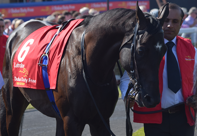 愛ダービー18観戦記 1 Nathanielの競馬ブログ