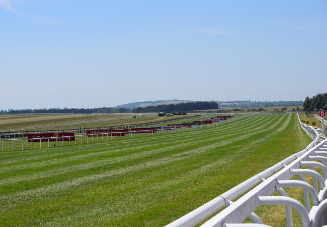 カラ競馬場観戦記 1 Nathanielの競馬ブログ カラ競馬場観戦記 1 Nathanielの競馬ブログ
