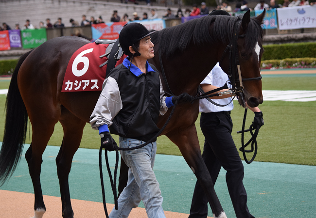 Nathanielの競馬ブログ                mambo_ds96