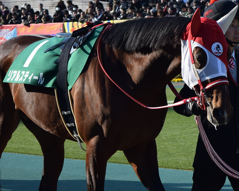 Pog指名馬リスト22 23 Nathanielの競馬ブログ