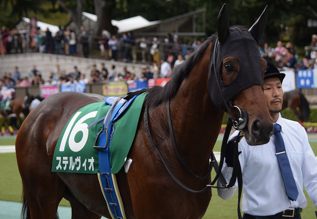 サウジアラビアロイヤルc2017観戦記 Nathanielの競馬ブログ