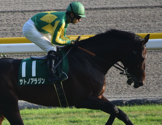 サトノアラジン 善戦マンに覚醒が訪れる時 Nathanielの競馬ブログ