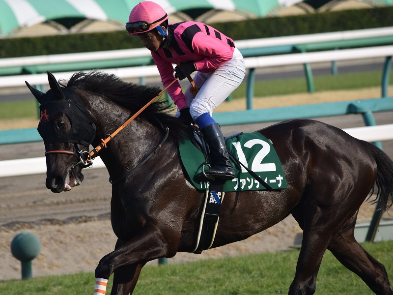 Pog指名馬リスト22 23 Nathanielの競馬ブログ