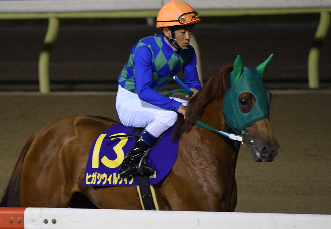 東京ダービー17観戦記 Nathanielの競馬ブログ