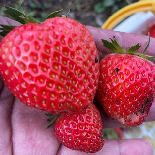 9880EC15-886B-49FE-896F-BD7223E0D3DA