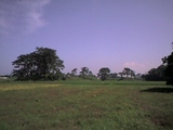 03e0dd14.jpg