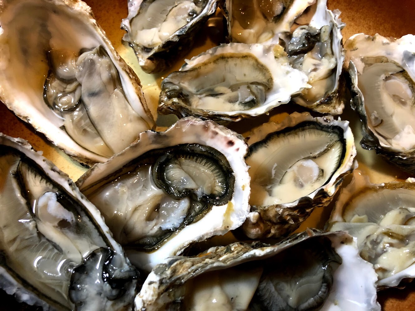 マンボな毎日 マンボな毎日