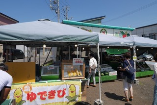 P4210439