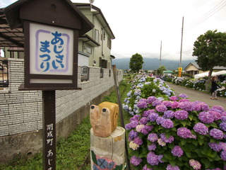 ¤¢¤¸¤µ¤¤º×¤ê