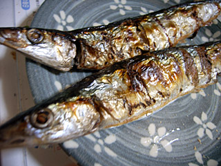 �����������ޡ������