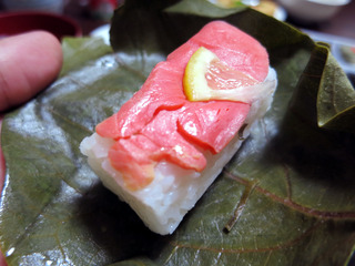 ºú