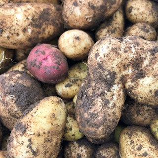 DB09BA79-92D9-4554-BB7F-312A855BF339