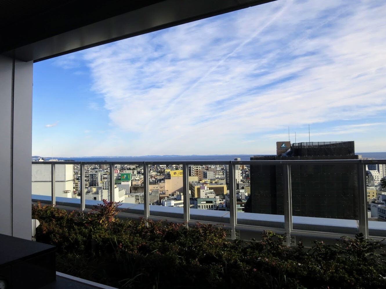 マンボな毎日 マンボな毎日