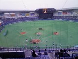 817d043d.jpg