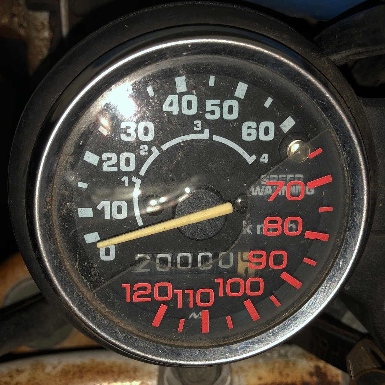 マンボな毎日 November 19