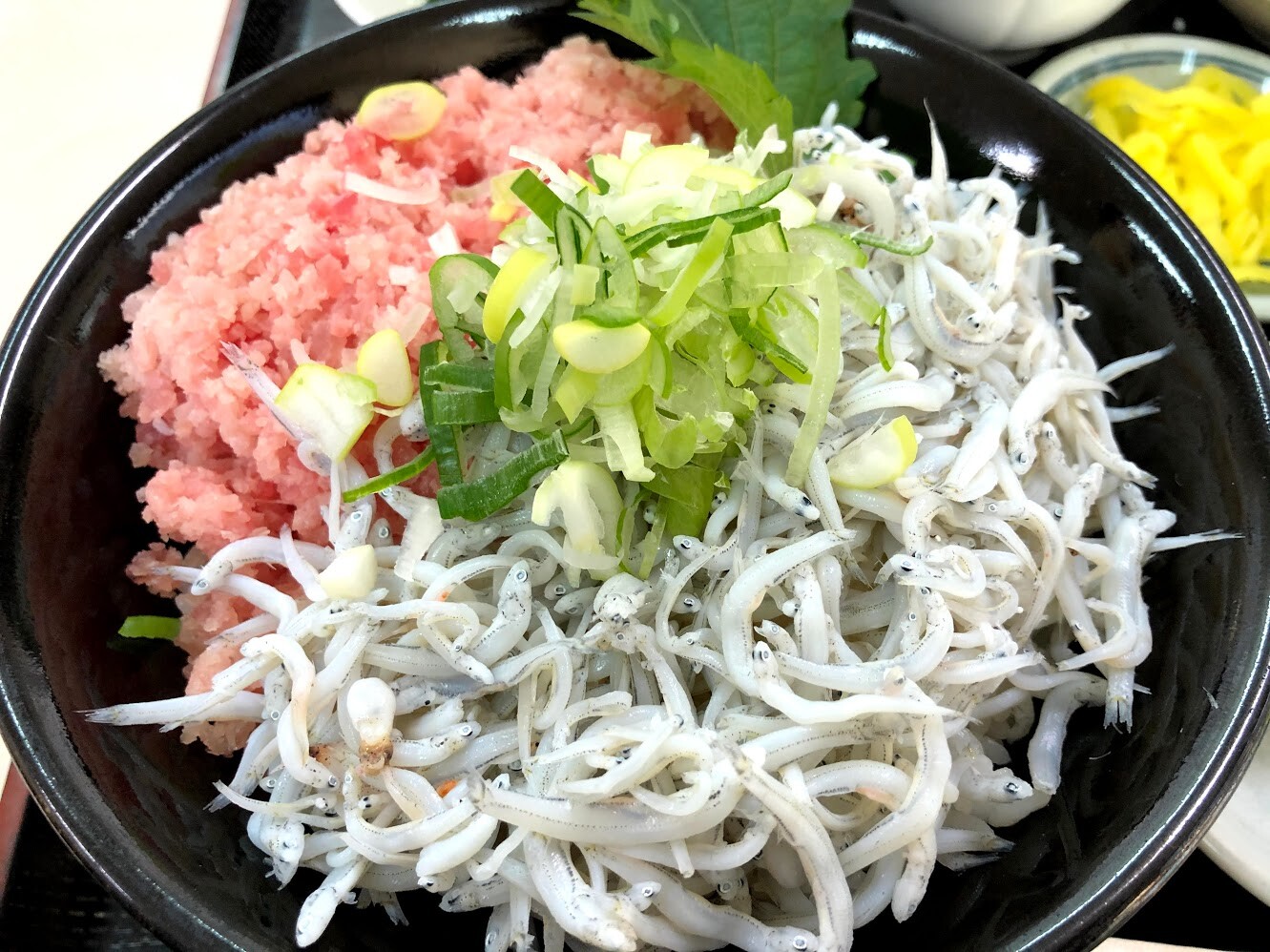 マンボな毎日 二色丼 どんぶり君 マンボな毎日 二色丼 どんぶり君