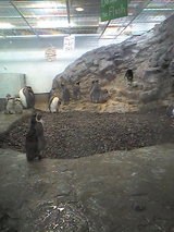 a0d39e86.jpg