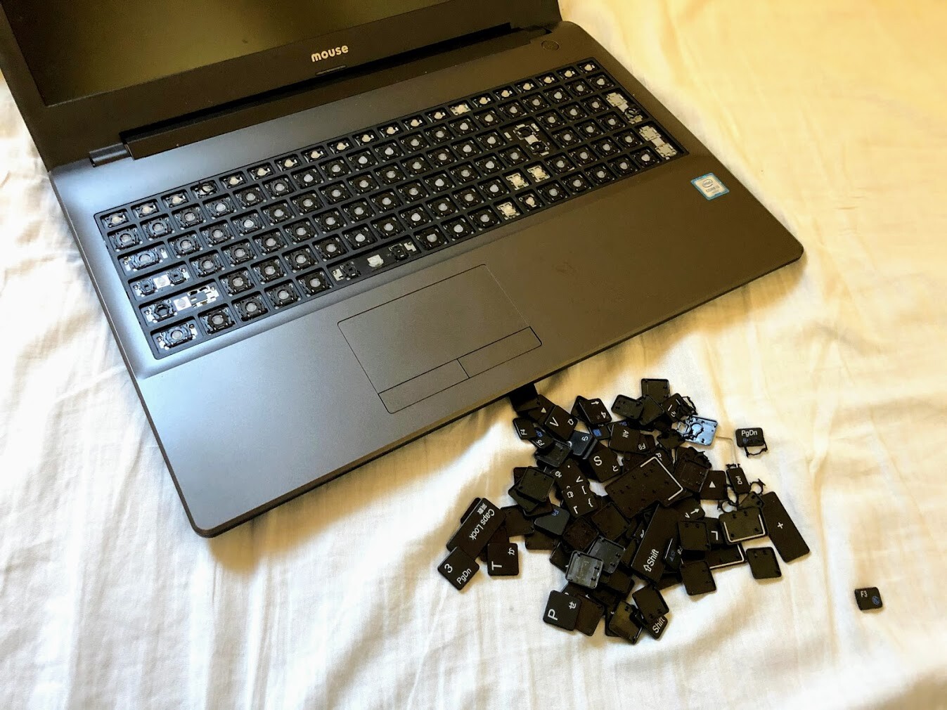 ノートパソコンのキーボード破壊されました マンボな毎日