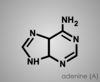 adenine-1769857_960_720