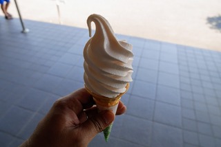 P4210051