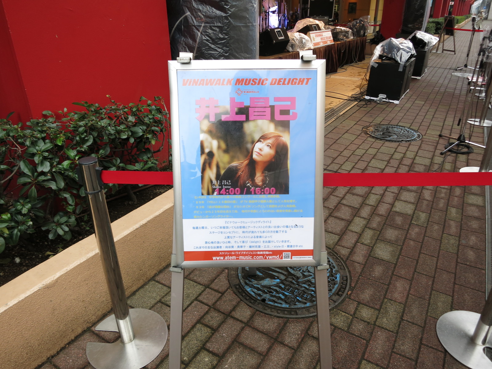 マンボな毎日 マンボ