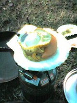 050501_1635~001.jpg