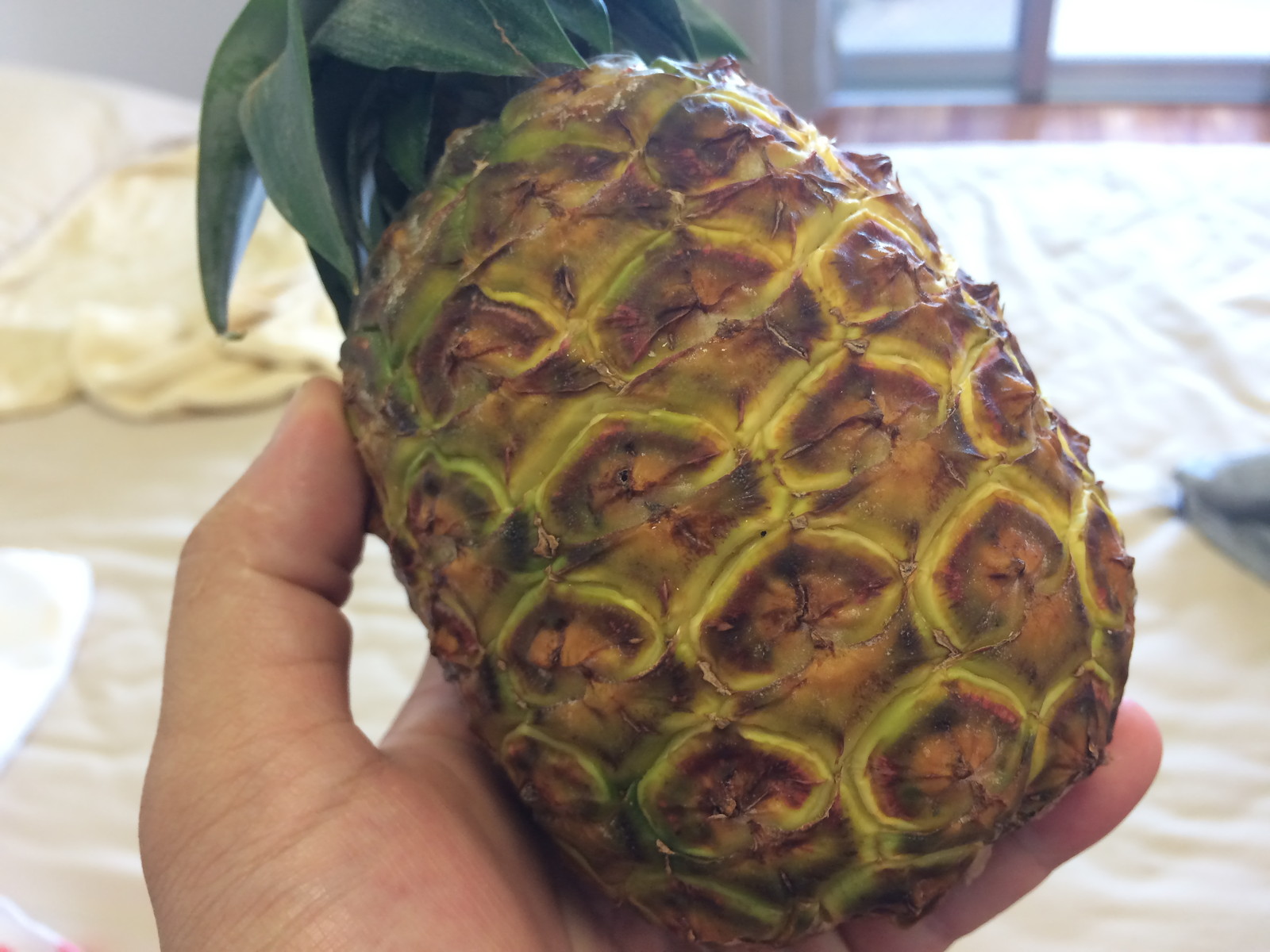 マンボな毎日 クリームパイナップル おんなの駅なかゆくい市場