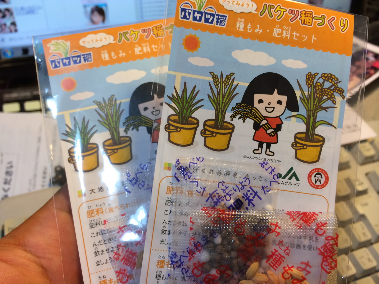 マンボな毎日 マンボな日常 マンボな毎日 マンボな日常