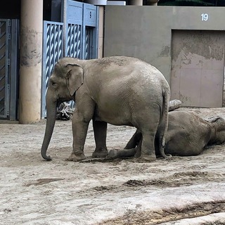 DA86A607-AD39-44B2-8C9E-F733850190A5