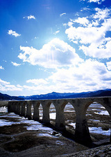 NATURA��RDP3�߻���