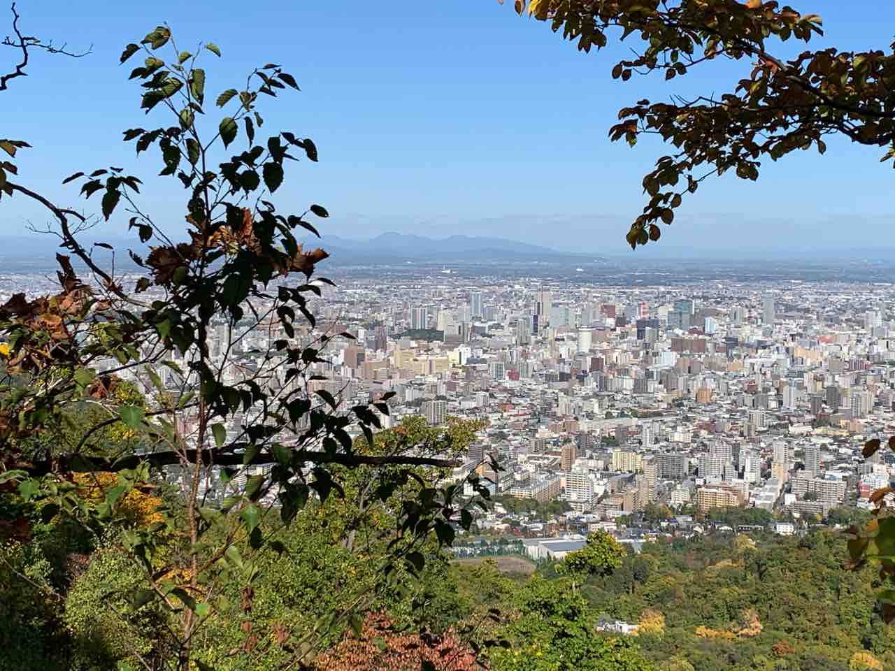 付け焼き刃は秋の藻岩山で と 夕方散歩 黒柴 豆 北国暮らし