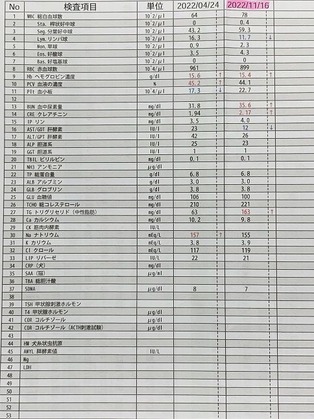 ����Ȥ����