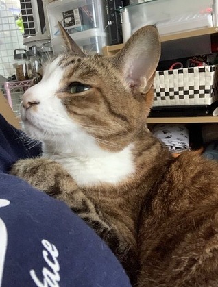 �Ť���˷��