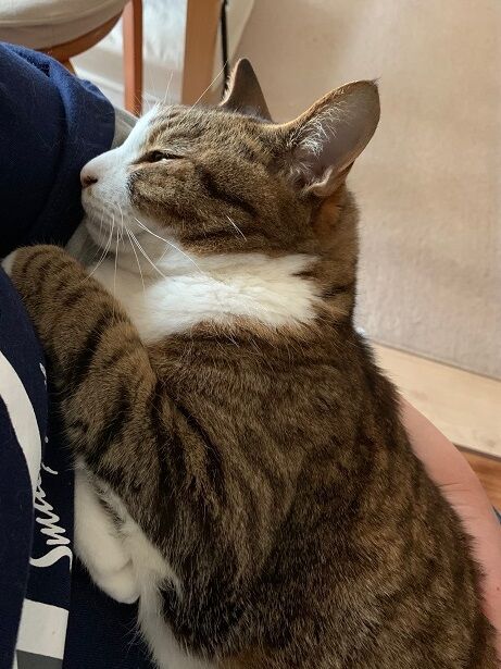 皮下点滴練習最終日(4、5回目) : おまめさん。