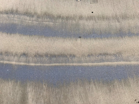 そうだIZooへ行こう!