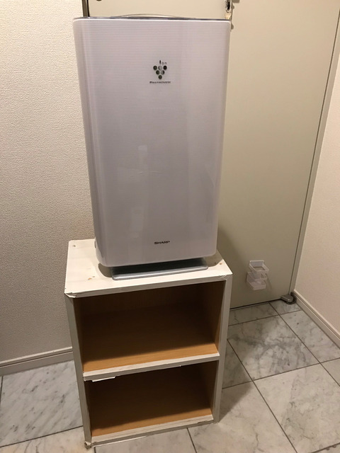 洗濯機の排水口掃除の続きとトイレ掃除