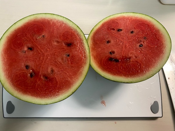 FullSizeRender
