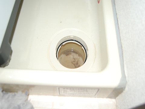 洗濯排水口の掃除