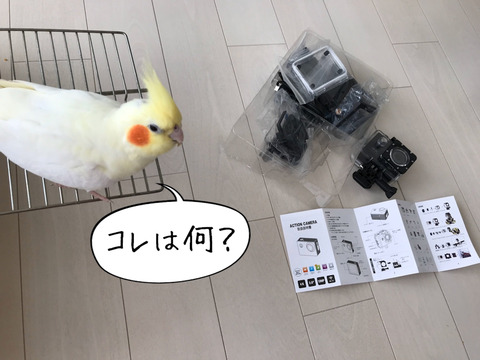 防水機能付きアクションカメラ