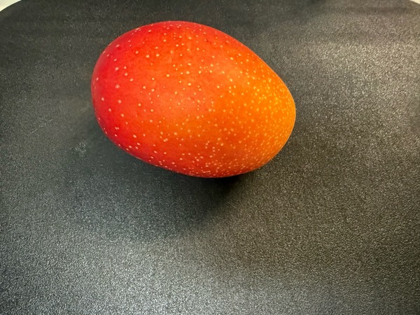 FullSizeRender