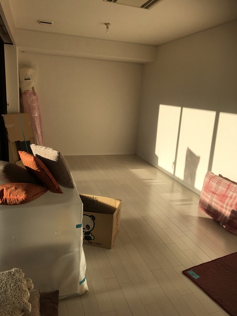 ミラーレスカメラに買い替え