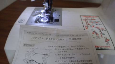 RIMG5101