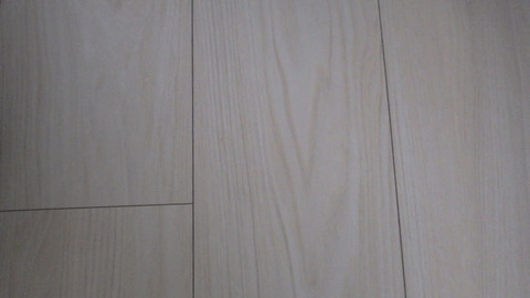 RIMG0571