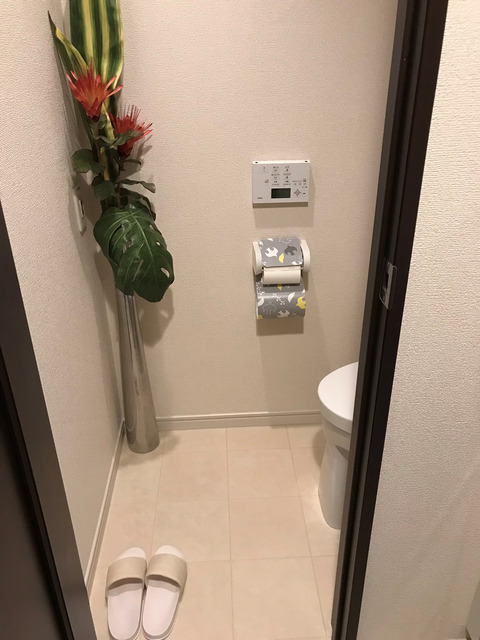 洗濯機の排水口掃除の続きとトイレ掃除