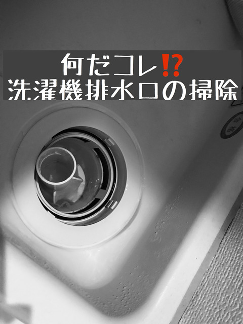 洗濯機の排水口掃除