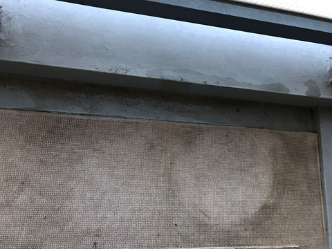 ためていた水を使って掃除