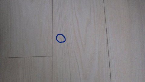 RIMG05711