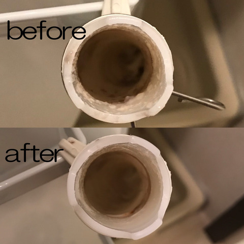 洗濯機の排水口掃除の続きとトイレ掃除
