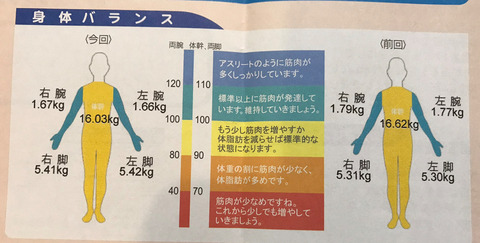 ダイソーのバッグインバッグ